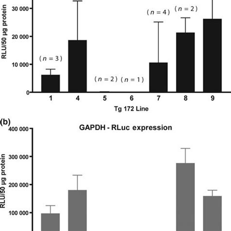 ofgfap|Regulation of GFAP Expression